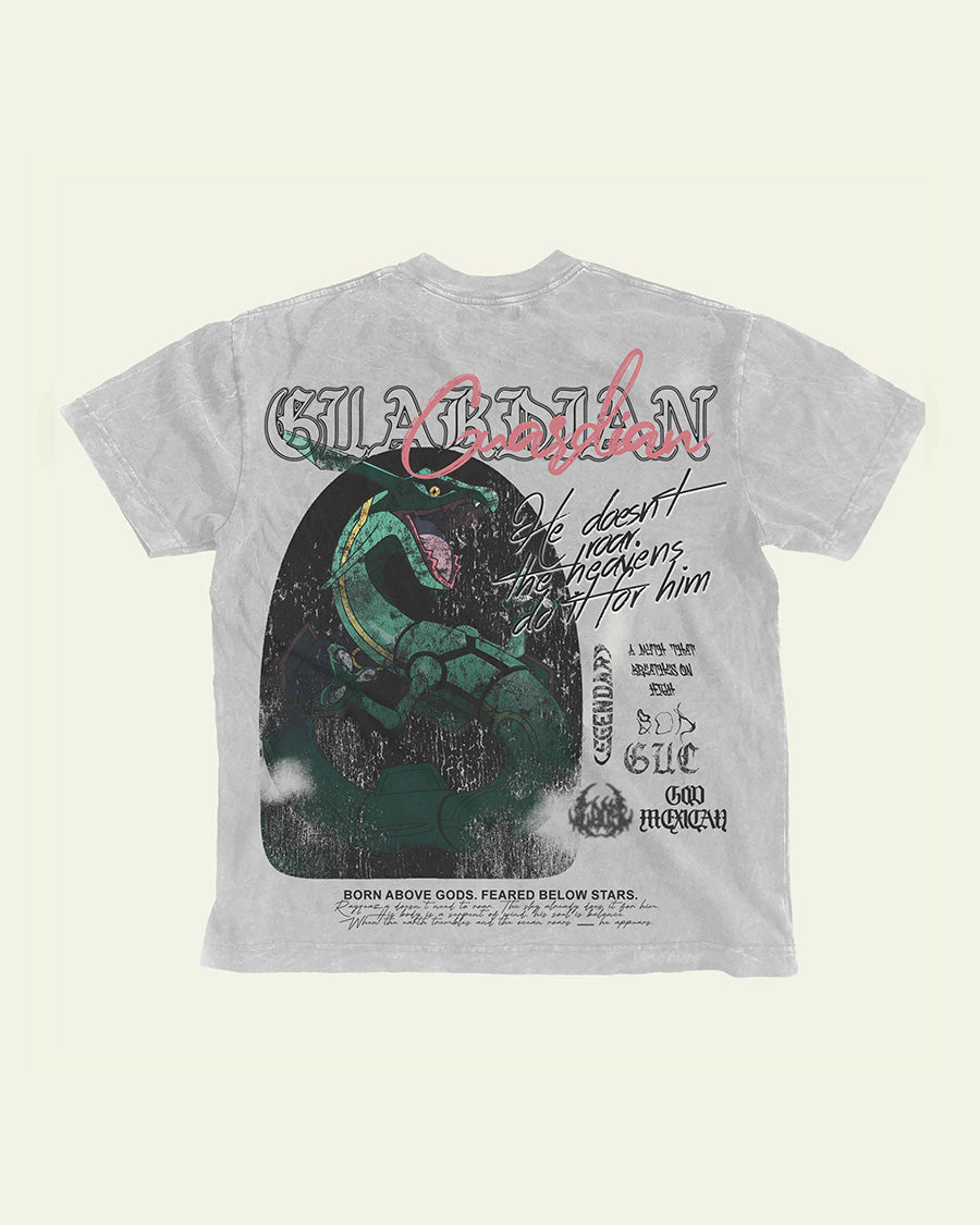 Rayquaza | PKMN VINTAGE GRAY