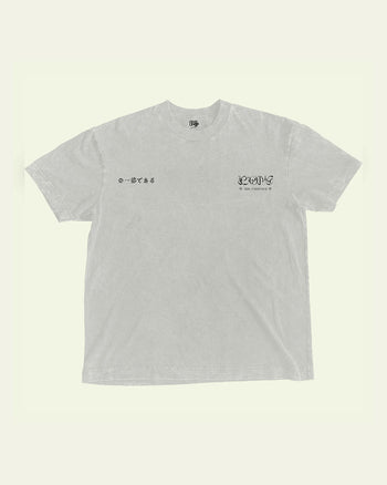 Rayquaza | PKMN VINTAGE GRAY