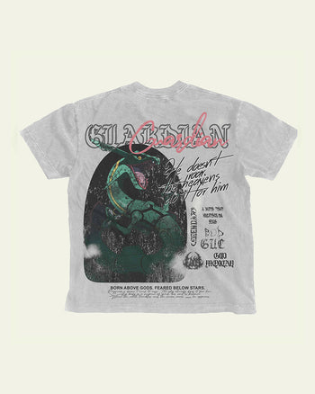 Rayquaza | PKMN VINTAGE GRAY